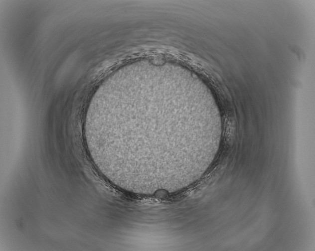 X0000111221489200907301214