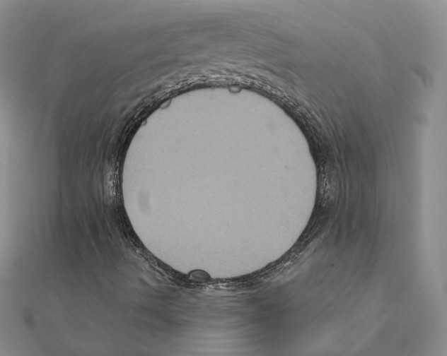 X0000111221490200907301214