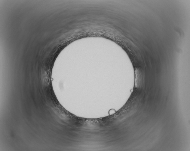 X0000111221491200907301214