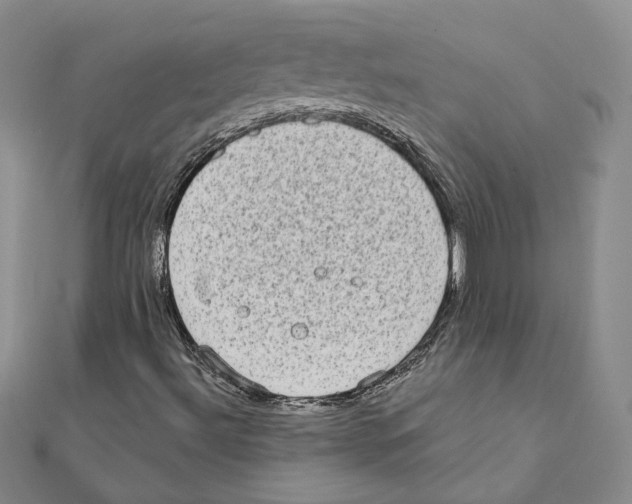 X0000111221492200907301214