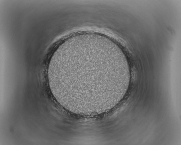 X0000111221494200907301214