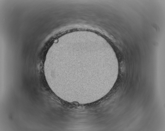 X0000111221495200907301214