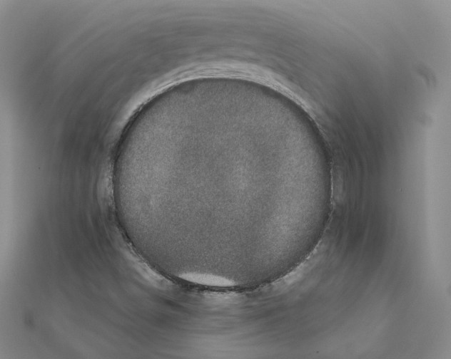 X0000111221498200907301214