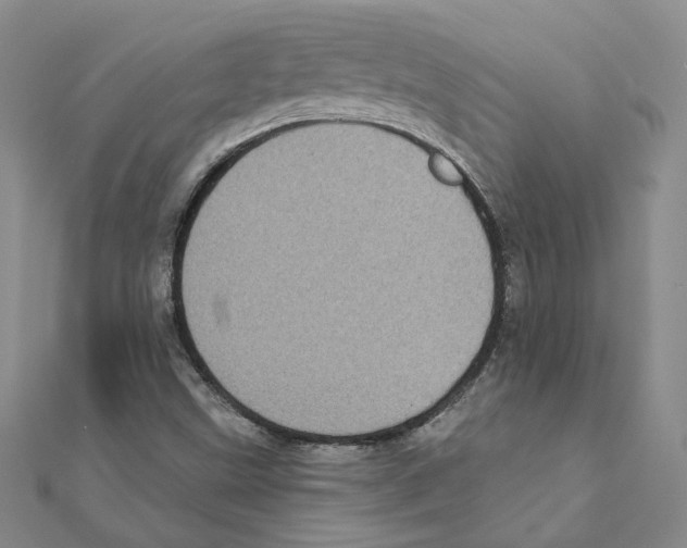 X0000111221499200907301214