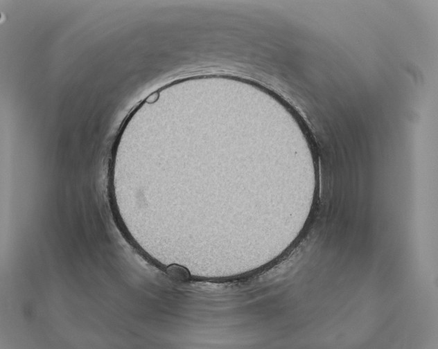 X0000111221500200907301214