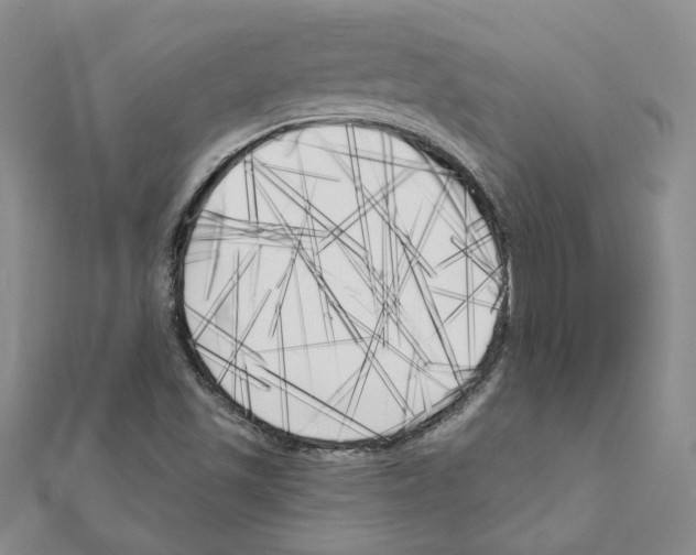 X0000111221501200907301214