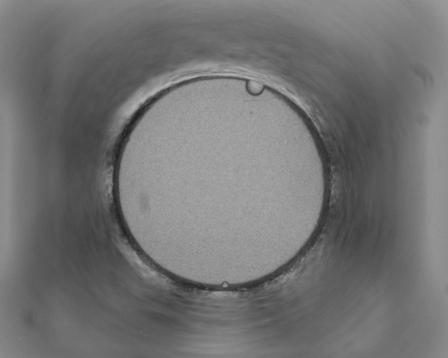 X0000111221503200907301214