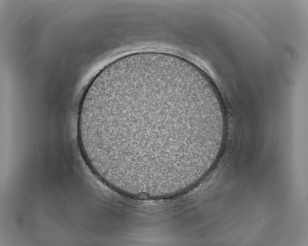 X0000111221504200907301214