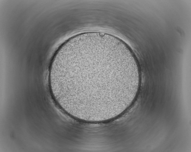 X0000111221507200907301214