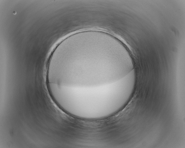 X0000111221508200907301214