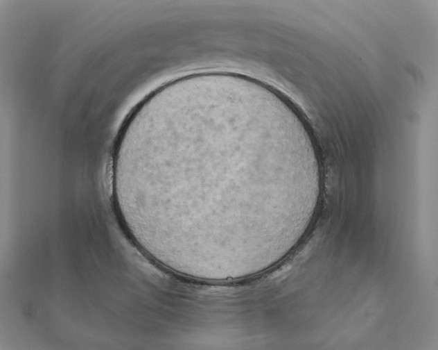 X0000111221510200907301214