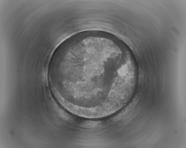 X0000111221513200907301214