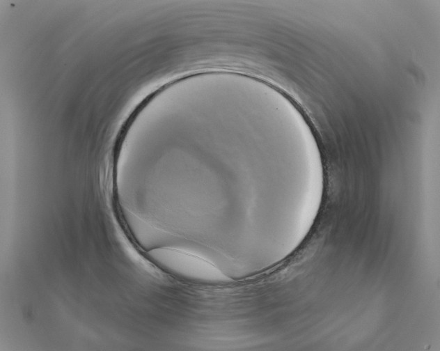 X0000111221515200907301214