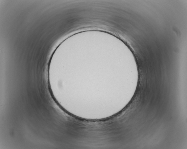X0000111221516200907301214