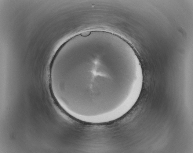 X0000111221519200907301214
