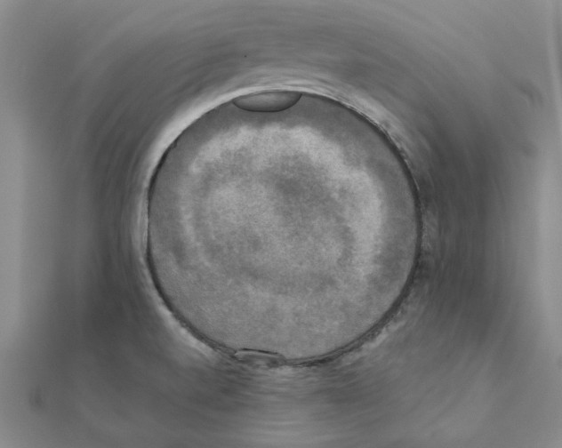 X0000111221520200907301214