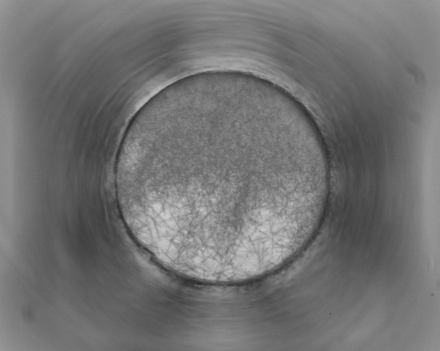 X0000111221521200907301214