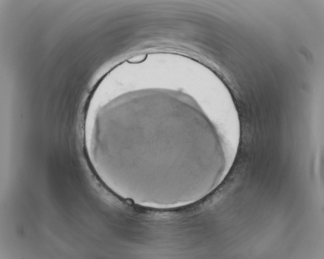 X0000111221522200907301214