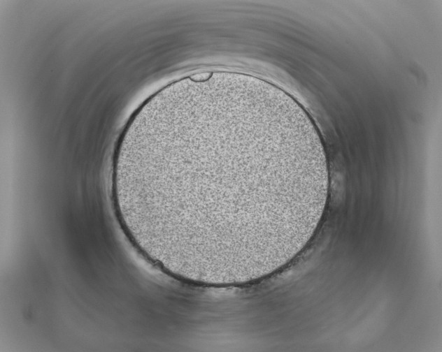 X0000111221523200907301214