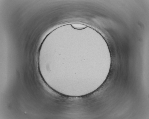 X0000111221526200907301214