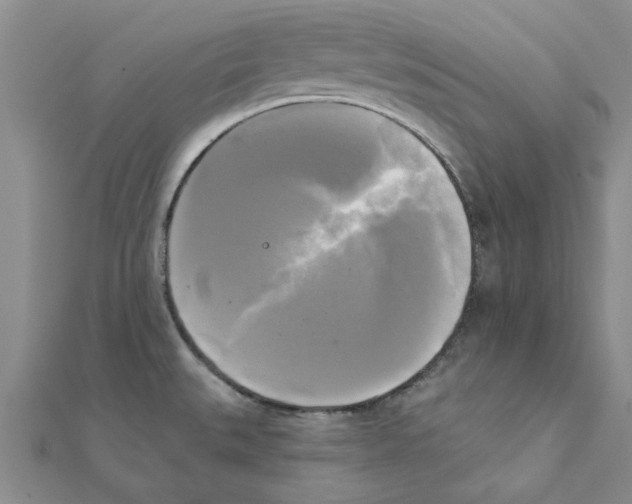 X0000111221527200907301214