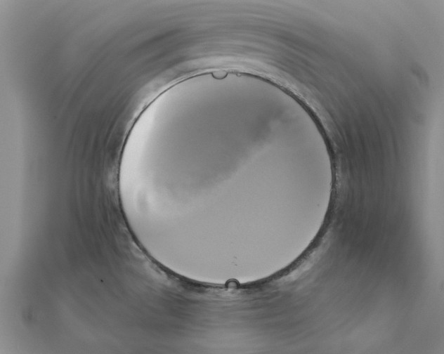X0000111221529200907301214