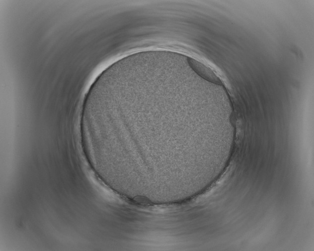 X0000111221530200907301214