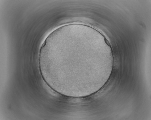 X0000111221532200907301214