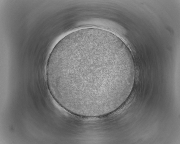 X0000111221535200907301215