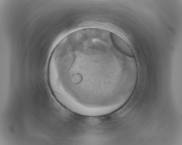 X0000111221536200907301215
