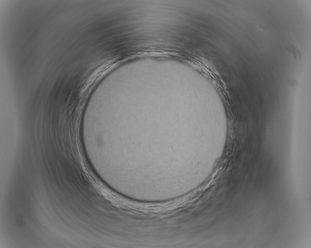 X0000111220001200908131111