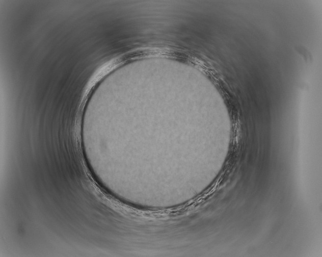 X0000111220004200908131111