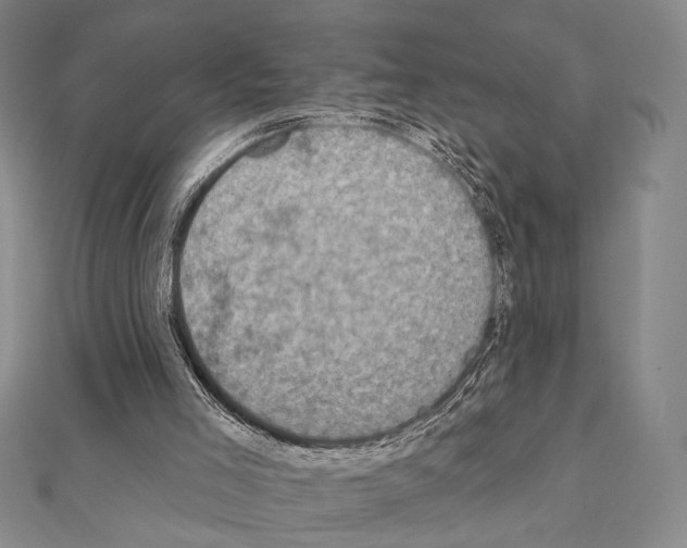 X0000111220005200908131111