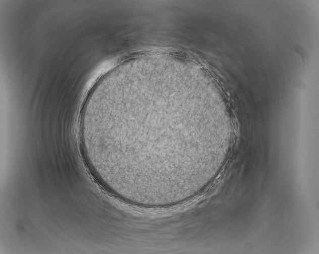 X0000111220006200908131111