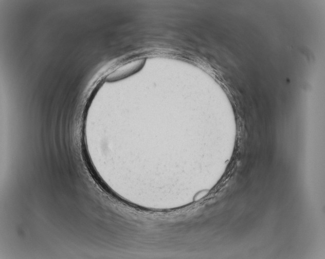 X0000111220007200908131111
