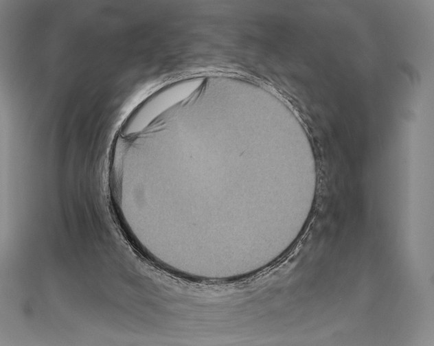 X0000111220008200908131111