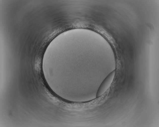 X0000111220009200908131111