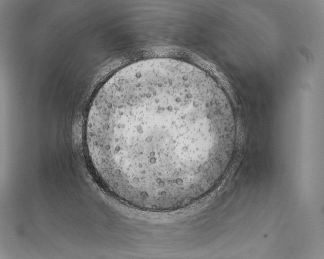 X0000111220010200908131111