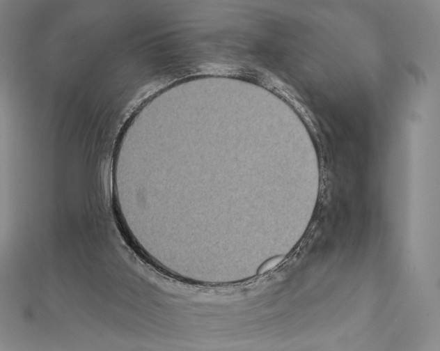 X0000111220011200908131111