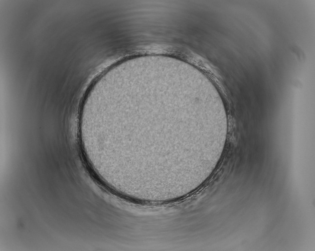 X0000111220012200908131111