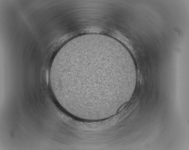 X0000111220013200908131111