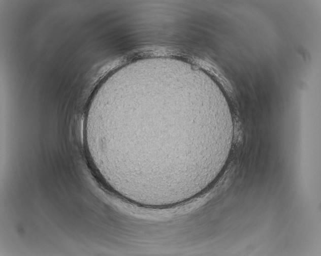 X0000111220014200908131111