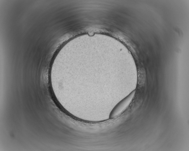 X0000111220015200908131111