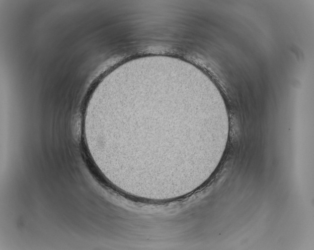 X0000111220016200908131111