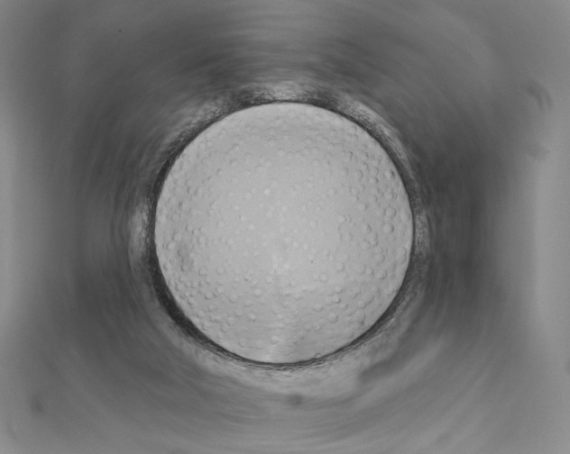 X0000111220018200908131111
