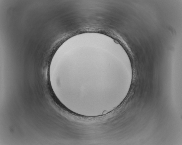 X0000111220019200908131111
