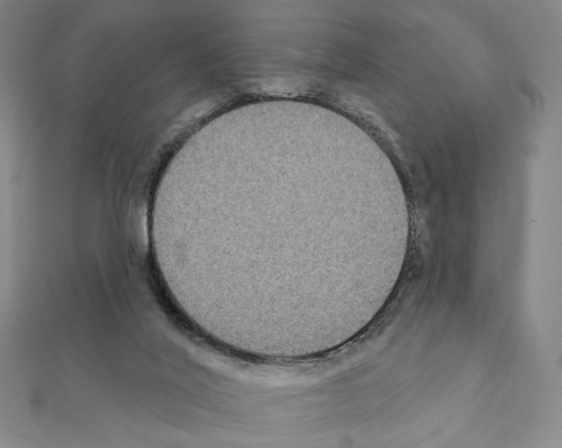 X0000111220020200908131111