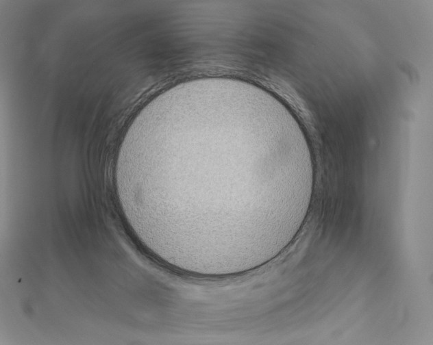 X0000111220021200908131111
