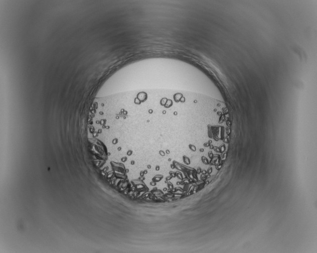 X0000111220025200908131111