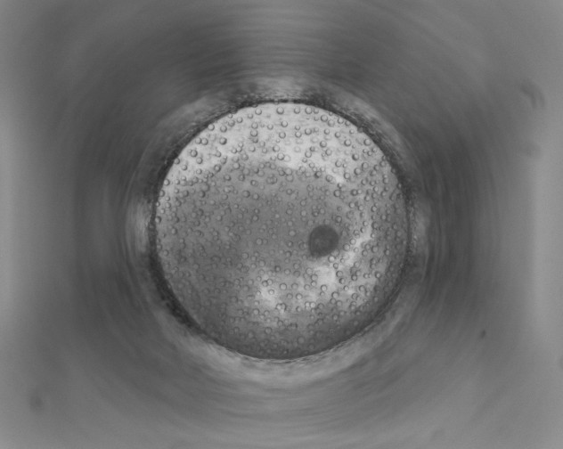 X0000111220026200908131111